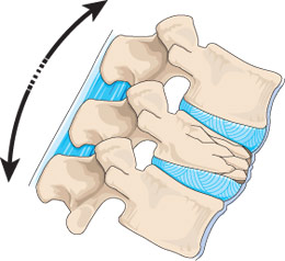 vertebrae alignment for posture